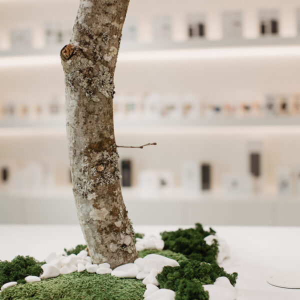 twofactorsxmobix-96-1365x2048